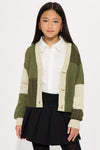 Mini Good Form Color Block Sweater